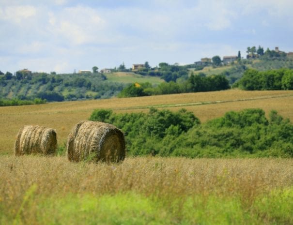 terre-dei-bulgarelli-umbria-1