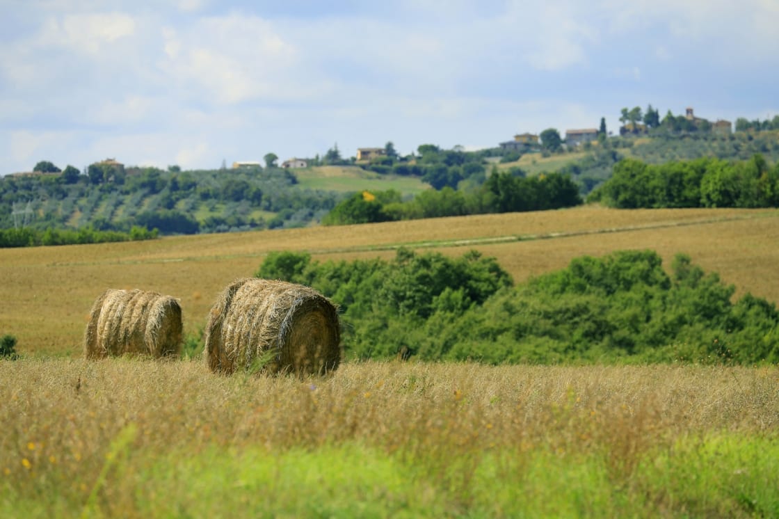 terre-dei-bulgarelli-umbria-1